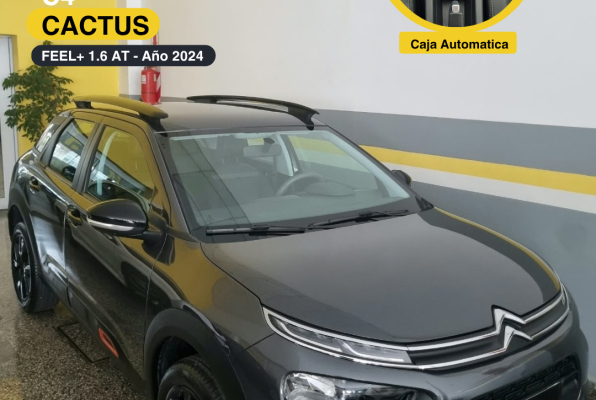 c4 - cactus 2024